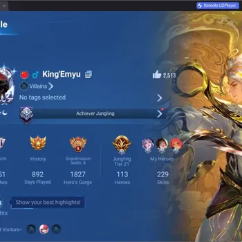 Honor of Kings Accounts Rare Skin Global|113H