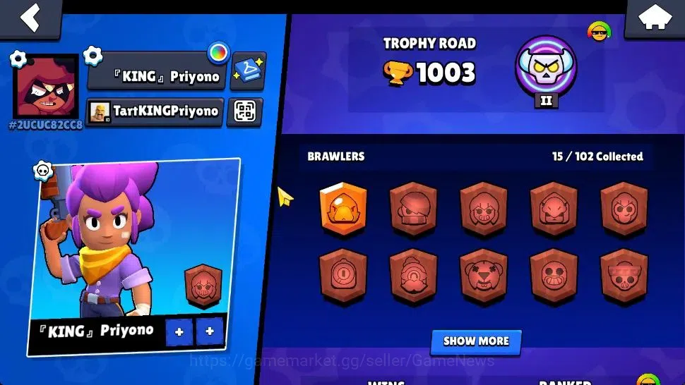Brawl Stars Accounts 1003 Trophy | 15 Brawlers 2 Max Lv | 1 Legend 1 Ep image 2