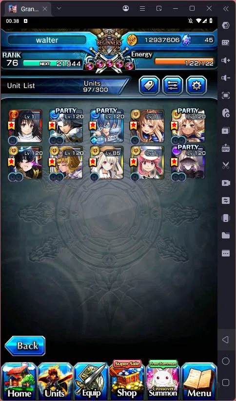 Grand Summoners Accounts Global |Ascend 10| Inumata, Paladin Roy, Sizu, Is image 8