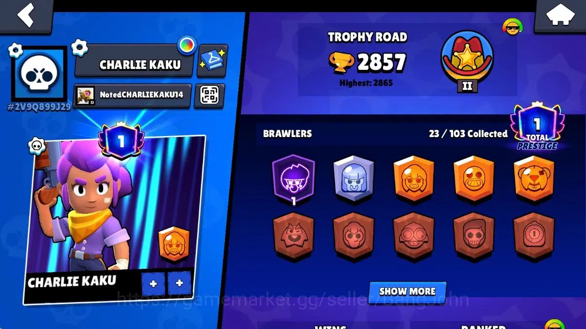 Brawl Stars Accounts Android | 2857 Thropy | 23 Brawler - 1 Max Lv Hype image 2