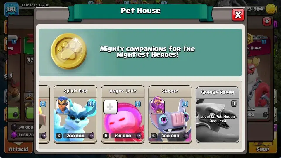 Clash of Clans Accounts Global | TH 18-BH 10 | LVL 181 | AQ 56 ,MP 40 ,GW image 11