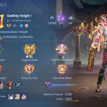 Mobile Legends: Bang Bang Accounts Collector Global|Skin 239|Renowned|Exorcist Granger,PRIME Yu Zhong,Collector