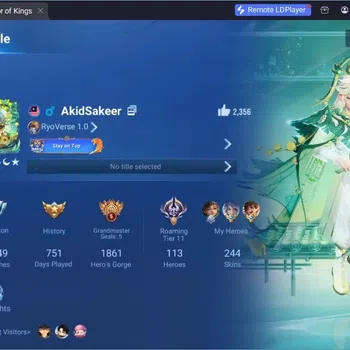 Honor of Kings Accounts Rare Skin Global |113H 244S|1Limbo|1LNY|GM