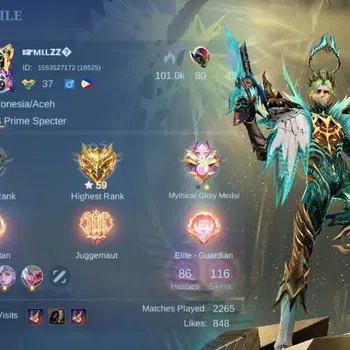 Mobile Legends: Bang Bang Collector Global|Skin 116|Expert|PRIME Granger,Blazing Franc image 1