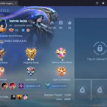 Mobile Legends: Bang Bang Accounts Collector Global|Hero132|Skin 132|Seasoned|DT Valir|Myth24 Clint|Star Karina|Aniv