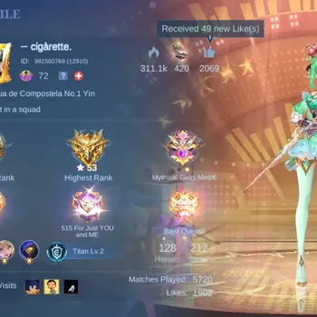 Mobile Legends: Bang Bang Accounts Others Global | 128 Hero 212 Skin | Expert |LB: Tigreal|PACE:Fanny|BLZ