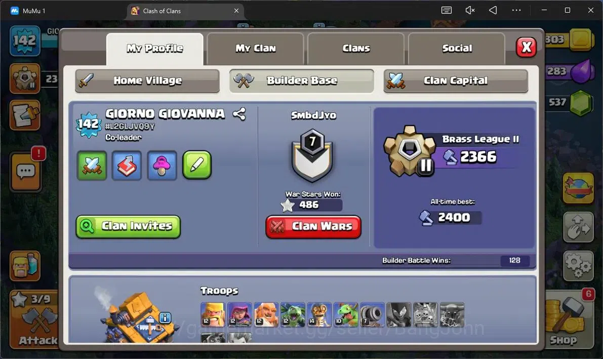 Clash of Clans Accounts Global |TH 17-BH 10|LVL 142|HH 8|BK 30,AQ 36,MP 43 image 20