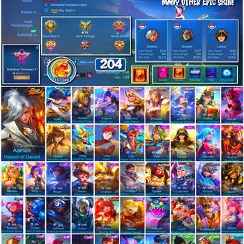 Mobile Legends: Bang Bang Accounts 🔥 #4182 🔥 💎 204 Skins 👑 Collector Natalia Warrioress Paragon ⚔️ Renowned Collector V