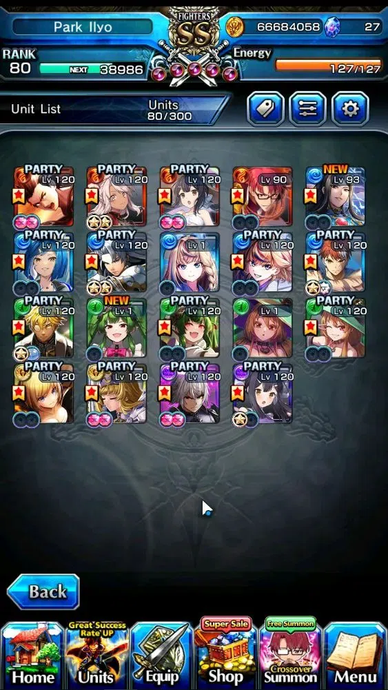 Grand Summoners Accounts End-Game Global|Rank 80|16 Ascend+2 TW|(Paladin Roy,Emiya)+TW,S Miyu,Chloe,GC Platina,WH Fen,2xAH 1