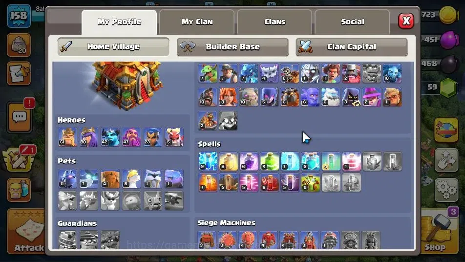 Clash of Clans Accounts LV 158|TH 16-BH 8|HH 9|Limited Skin|BK 61,AQ 80,GW image 3