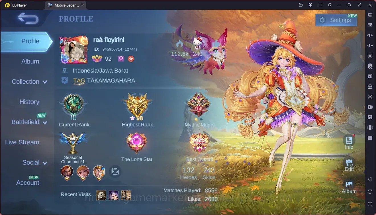 Mobile Legends: Bang Bang Accounts Collector Global|Hero 132|Skin 243|Renowned|SEASON Floryn|Collector Natalia|Zodiac 1
