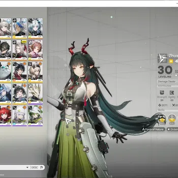 Arknights: Endfield Accounts ASIA|Lv 30|5 SSR 2 Limited + 8(*6 Weapon)|Fangyi+Sign,Arcane|1 SSR+WP Selector ON|Male
