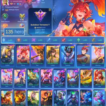 Mobile Legends: Bang Bang Accounts Others HERO 135 SKIN 237 | EMBLEM ALL MAX| COLECTOR NATALIA| PACE FANNY| PENGASUS SEIYA