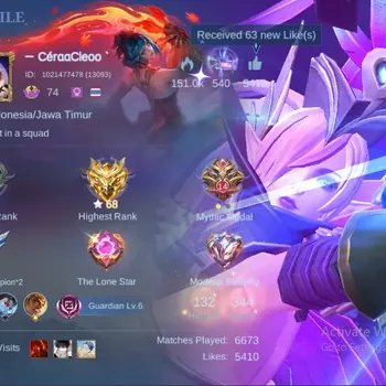 Mobile Legends: Bang Bang Accounts Collector Global|344 Skin|Exalted|LEGEND Miya,TF X-Borg,Aspirants Lesley,Collector Zilong