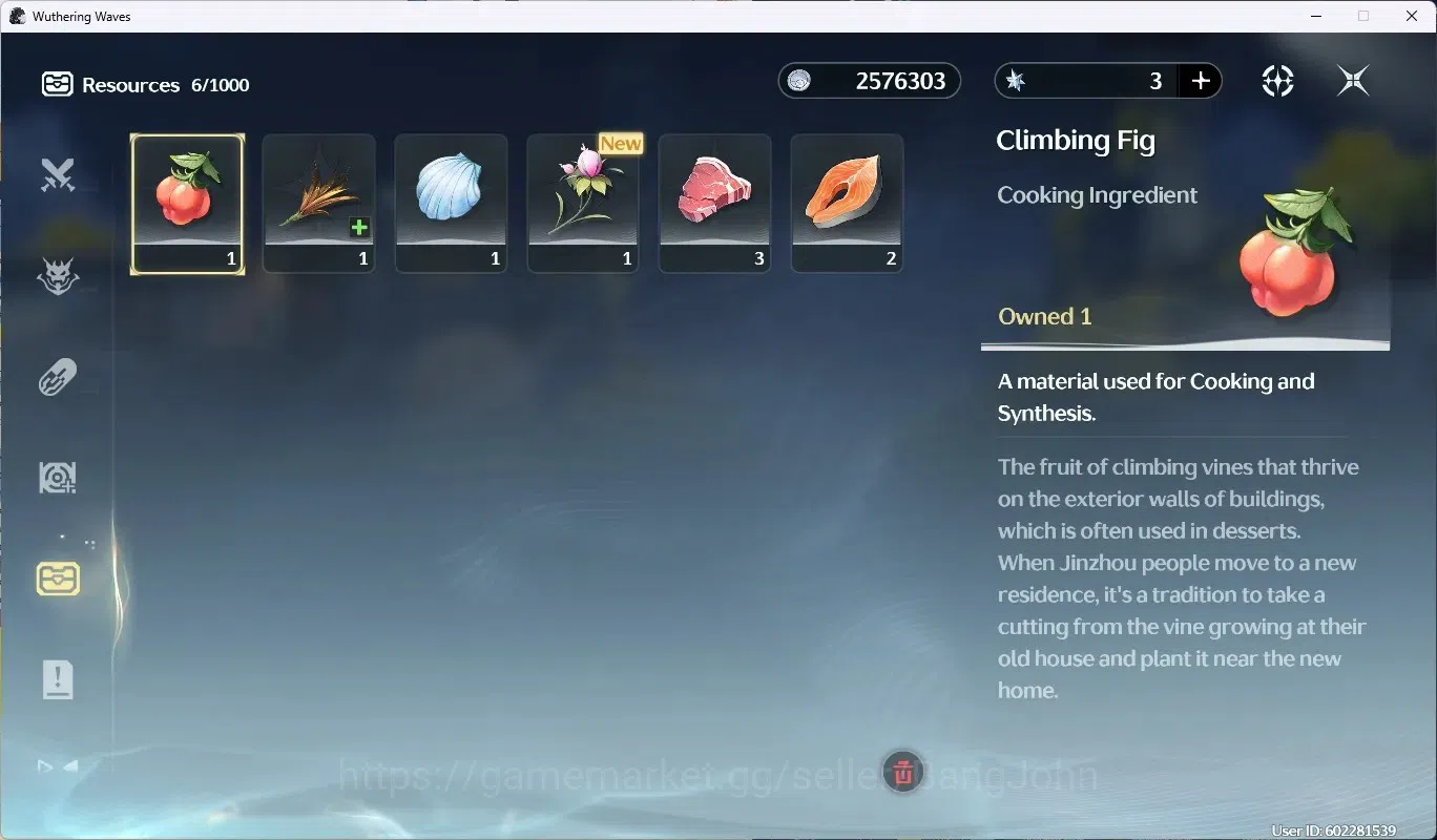 Wuthering Waves Accounts EU |UL 8|Rank 1|Starter|3 Limited Char [Cartethyia image 12