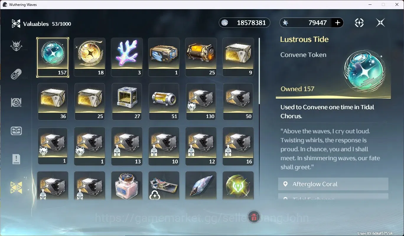 Wuthering Waves Accounts EU|UL 49|Rank 5|1 Char 5* [Rebecca]|Akun Ready Gac image 13