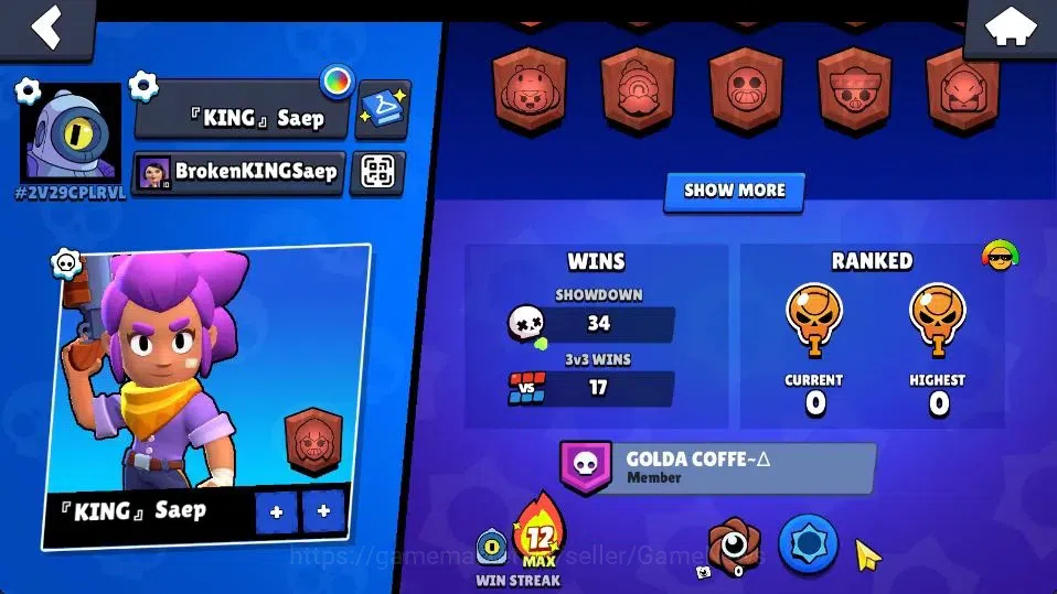 Brawl Stars Accounts 1004 Trophy|14 Brawlers 3 Max Lvl [Edgar,Bea,Shell image 4
