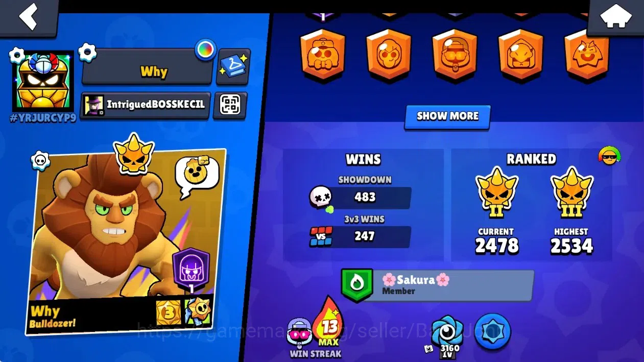 Brawl Stars Accounts Global|8624 Thropy|34 Brawlers-3 Max Lvl+Hyperchar image 3