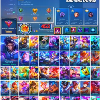 Mobile Legends: Bang Bang Accounts 🔥 #4181 🔥 💎 453 Skins 👑 Collector Natalia Warrioress Paragon ⚔️ Exalted Collector II