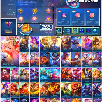 Mobile Legends: Bang Bang Accounts 🔥 #4173 🔥 💎 265 Skins 👑 Collector Natalia Warrioress Paragon ⚔️ Renowned Collector II