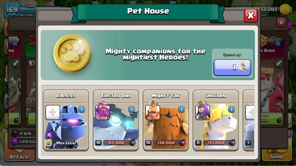 Clash of Clans Accounts Global |TH 17-BH 10|LVL 169|BK 58,AQ 69,MP 46,GW 4 image 12
