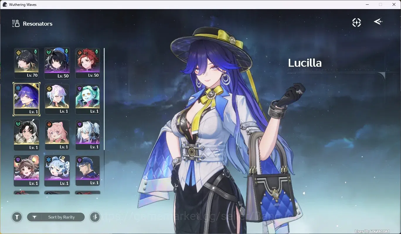 Wuthering Waves Accounts EU|UL 49|Rank 5|2 Char Limited [Lucy R6,Lucilla]+S image 2