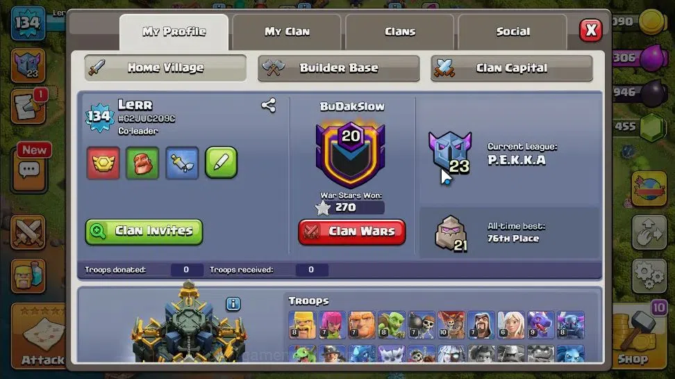 Clash of Clans Accounts LV 134|TH 17-BH 10|HH 9|Limited Skin|BK 44,AQ 67,G image 2