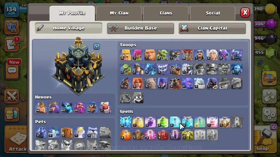 Clash of Clans Accounts LV 134|TH 17-BH 10|HH 9|Limited Skin|BK 44,AQ 67,G image 3