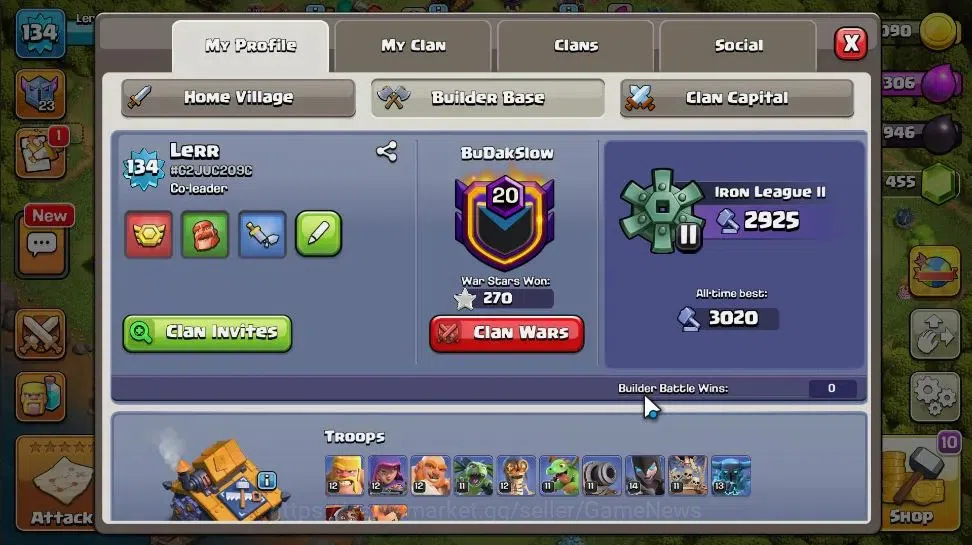 Clash of Clans Accounts LV 134|TH 17-BH 10|HH 9|Limited Skin|BK 44,AQ 67,G image 5