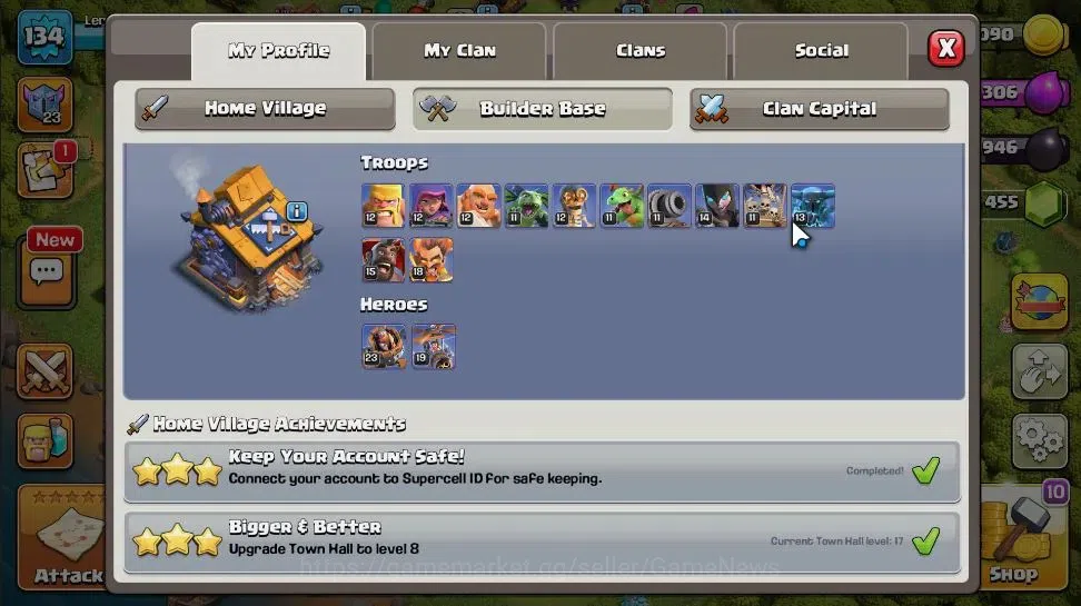 Clash of Clans Accounts LV 134|TH 17-BH 10|HH 9|Limited Skin|BK 44,AQ 67,G image 6
