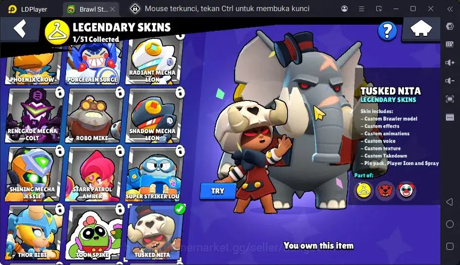 Brawl Stars Accounts Trophy 758| 8 Brawler|1 Max Hc Lv.11(Nita)|1 Legendary(Nita),3 Epic Skins|3313 Bling | ProtectOff 8