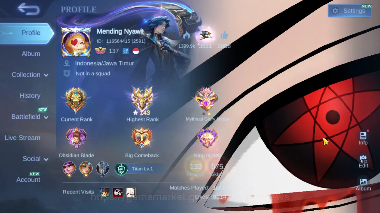 Mobile Legends: Bang Bang Accounts Collector Hero 133|Skin 575|High Immo 1