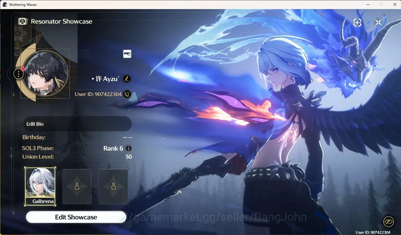 Wuthering Waves Accounts Others SEA|UL 50|Rank 6|3 Char Limited [Luuk Herssen 1