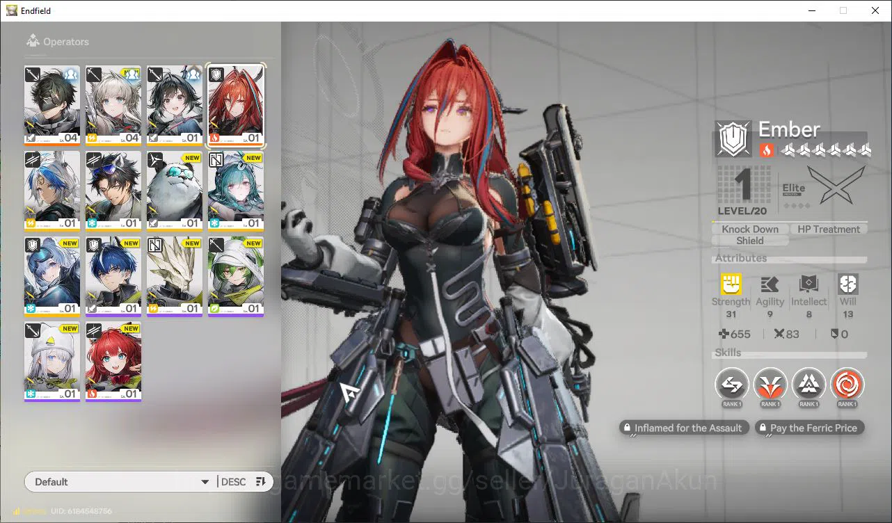 Arknights: Endfield Accounts NA/EU Lv2 |Starter|400 Arsenal|1 SSR (Ember)+7SR O image 1