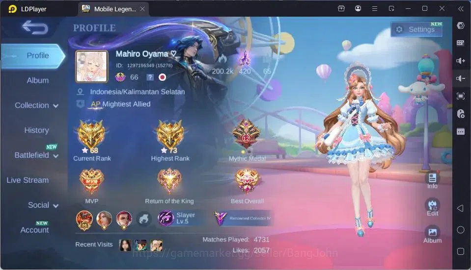 Mobile Legends: Bang Bang Accounts GLOBAL Hero 118 Skin 207| LuckBox Martis| Valentin image 20