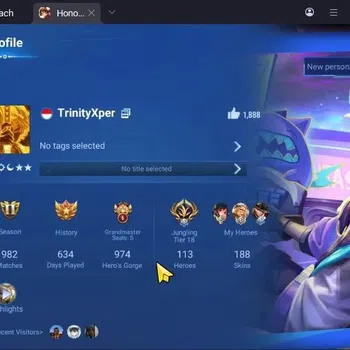 Honor of Kings Accounts Rare Skin Global|113H