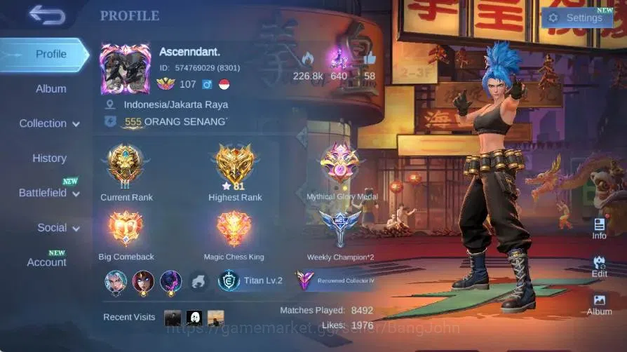 Mobile Legends: Bang Bang Accounts Global|Hero 132|Skin 266|Renowned|Collector Natali image 15
