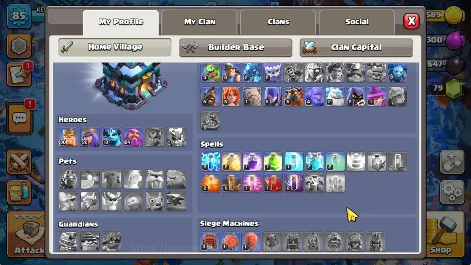 Clash of Clans Accounts 2 Limited Skins | TH 13 - BH 8 | LV 85 | HH 6 | BK image 3