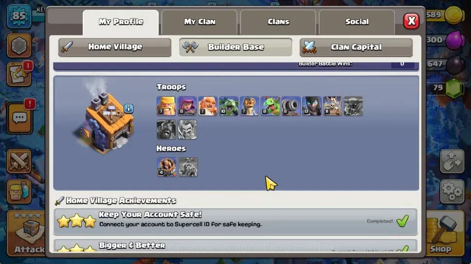 Clash of Clans Accounts 2 Limited Skins | TH 13 - BH 8 | LV 85 | HH 6 | BK image 5