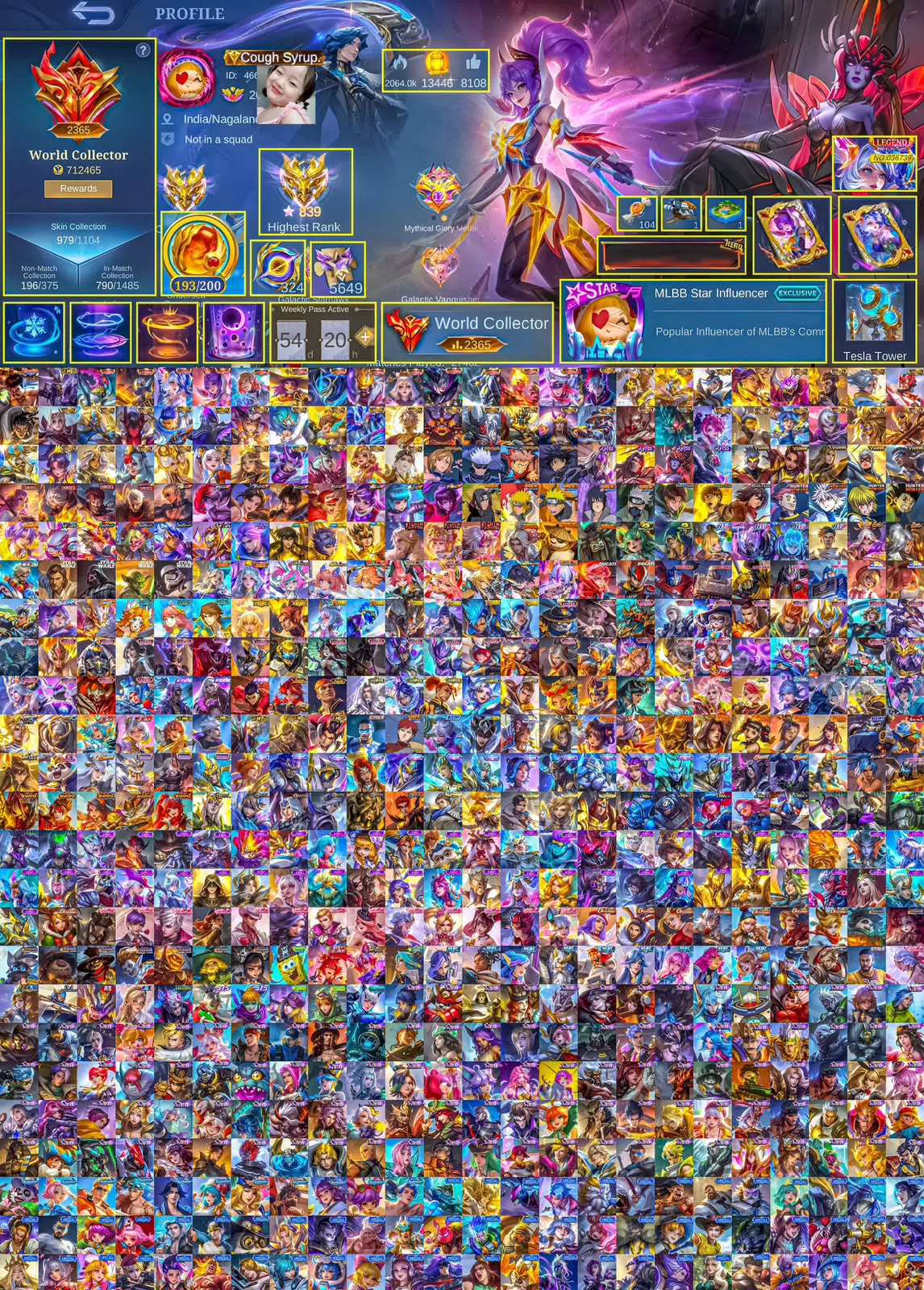 Mobile Legends: Bang Bang Accounts Smurf # 02||GLOBAL || LUXURY ID 1000 SKINS KOL STAR BORDER 800+ STARS 1