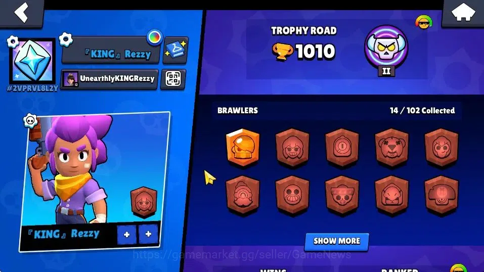 Brawl Stars Accounts 1010 Trophies, 14 Brawlers, 2 Max Lv. 49 Showdown  image 2