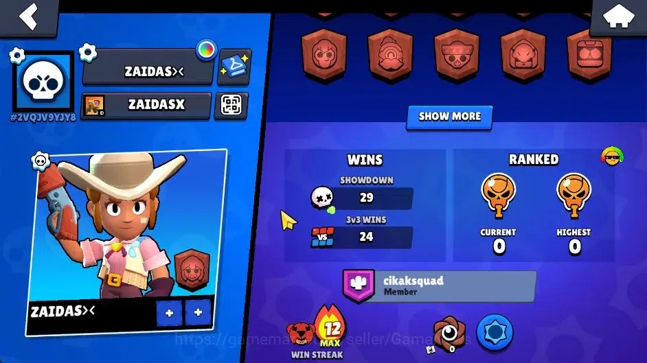 Brawl Stars Accounts 1028 Trophy|8,7K Bling| 12 Brawlers 1 Max Lvl [BEA image 3