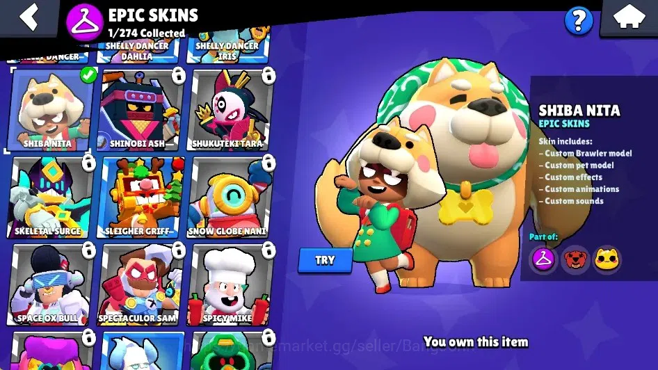 Brawl Stars Accounts Global|677 Tropyh|15 Brawlers-1 Max Lv. [Nita]|1 R image 10