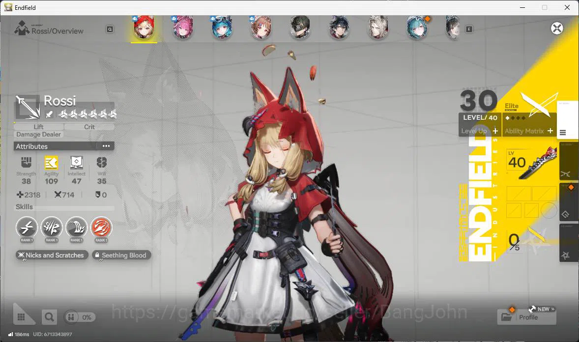 Arknights: Endfield Accounts NA | LVL 48, Rossi sign, Yvonne, Lastrite p1, Arde image 3