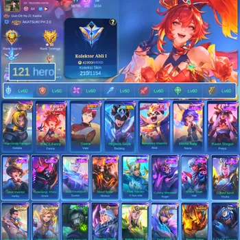 Mobile Legends: Bang Bang Accounts Others HERO 121 SKIN 210 | EMBLEM ALL MAX| COLECTOR NATALIA| PACE FANNY| VALE GARA| EPIC