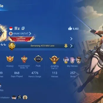 Honor of Kings Accounts Rare Skin Global|113H 257S|Precious Mikasa|3 LOM:Augran,Shi,Yixing|2 SXG:HouYi&Nuwa|KIC Luna|8