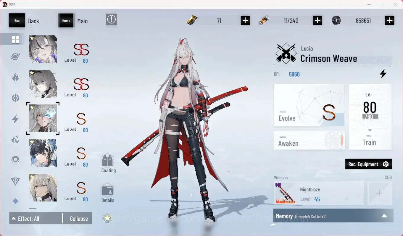 Punishing: Gray Raven Accounts End-Game ASIA |L89|Collab Black Shooter|3 SSS|(SS Lilith D,S Lucia CW,SS Lucia IC)+Sign|BC 5