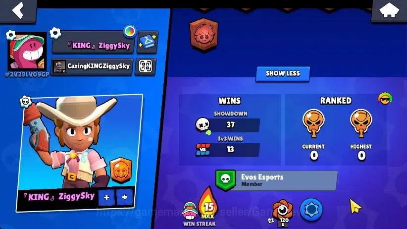 Brawl Stars Accounts 1002 Trophy|16 Brawlers 4 Max Lvl [Doug,Edgar,Bo,S image 2