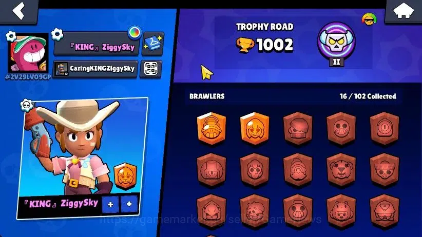 Brawl Stars Accounts 1002 Trophy|16 Brawlers 4 Max Lvl [Doug,Edgar,Bo,S image 8