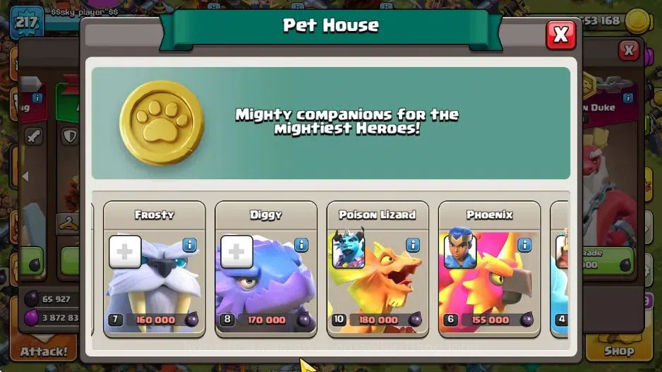 Clash of Clans Accounts Global|TH17-BH9|LVL 217|ManySkin|HH 9|League Titan image 19
